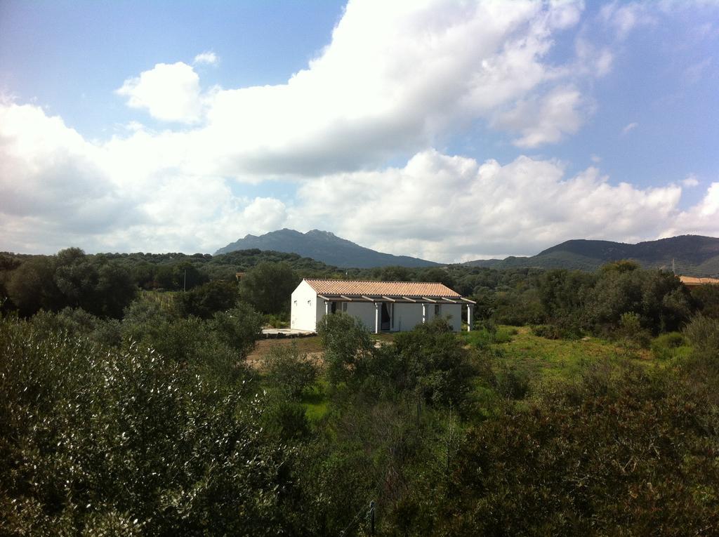 Bed and Breakfast Nacchinono à Olbia Extérieur photo